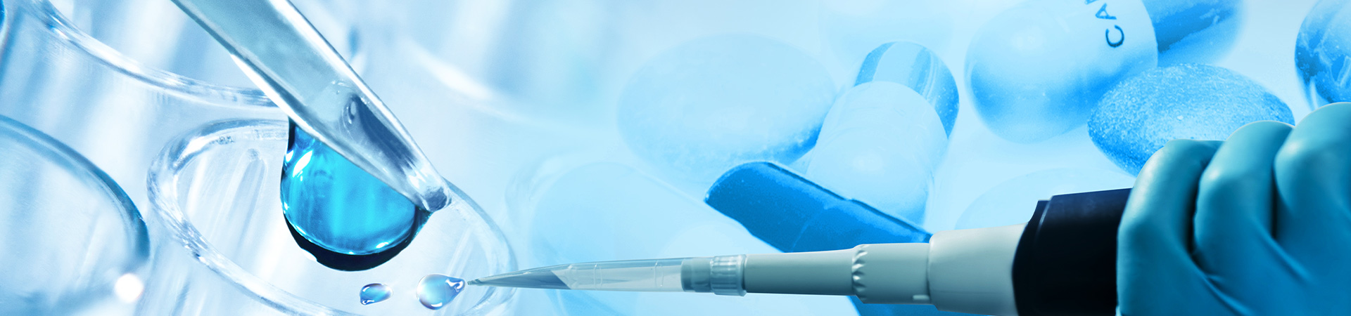 Skontaktuj się z nami